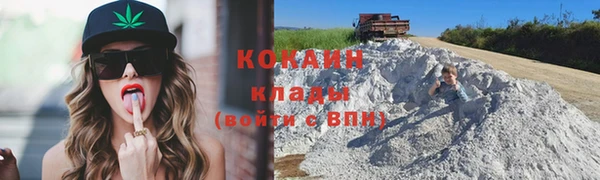 индика Богородск