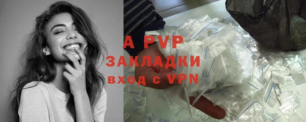 индика Богородск
