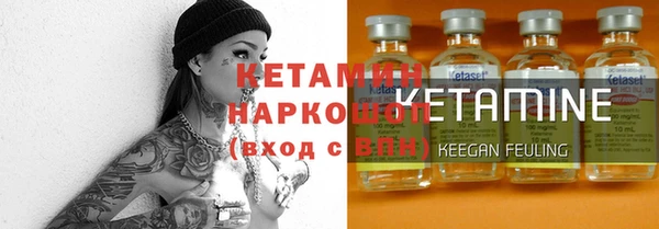 индика Богородск
