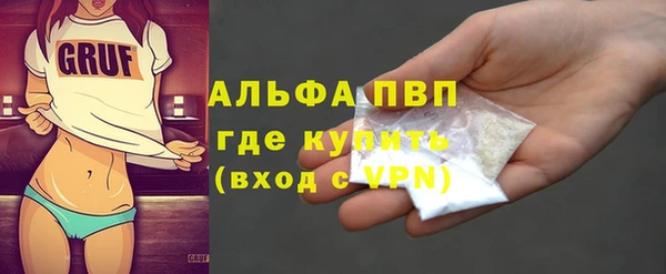 индика Богородск